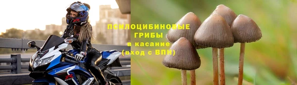 мяу мяу кристалл Няндома