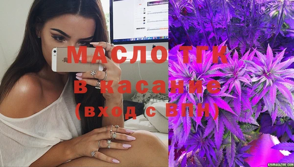 мяу мяу кристалл Няндома